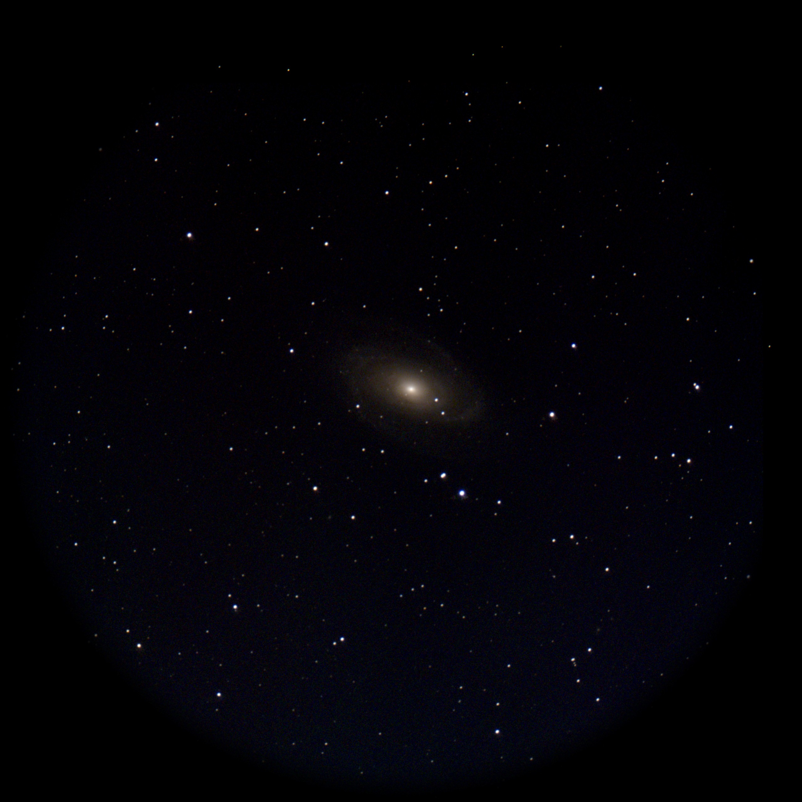 Bode's Galaxy — Spiral Galaxy, captured through our electronic eyepiece