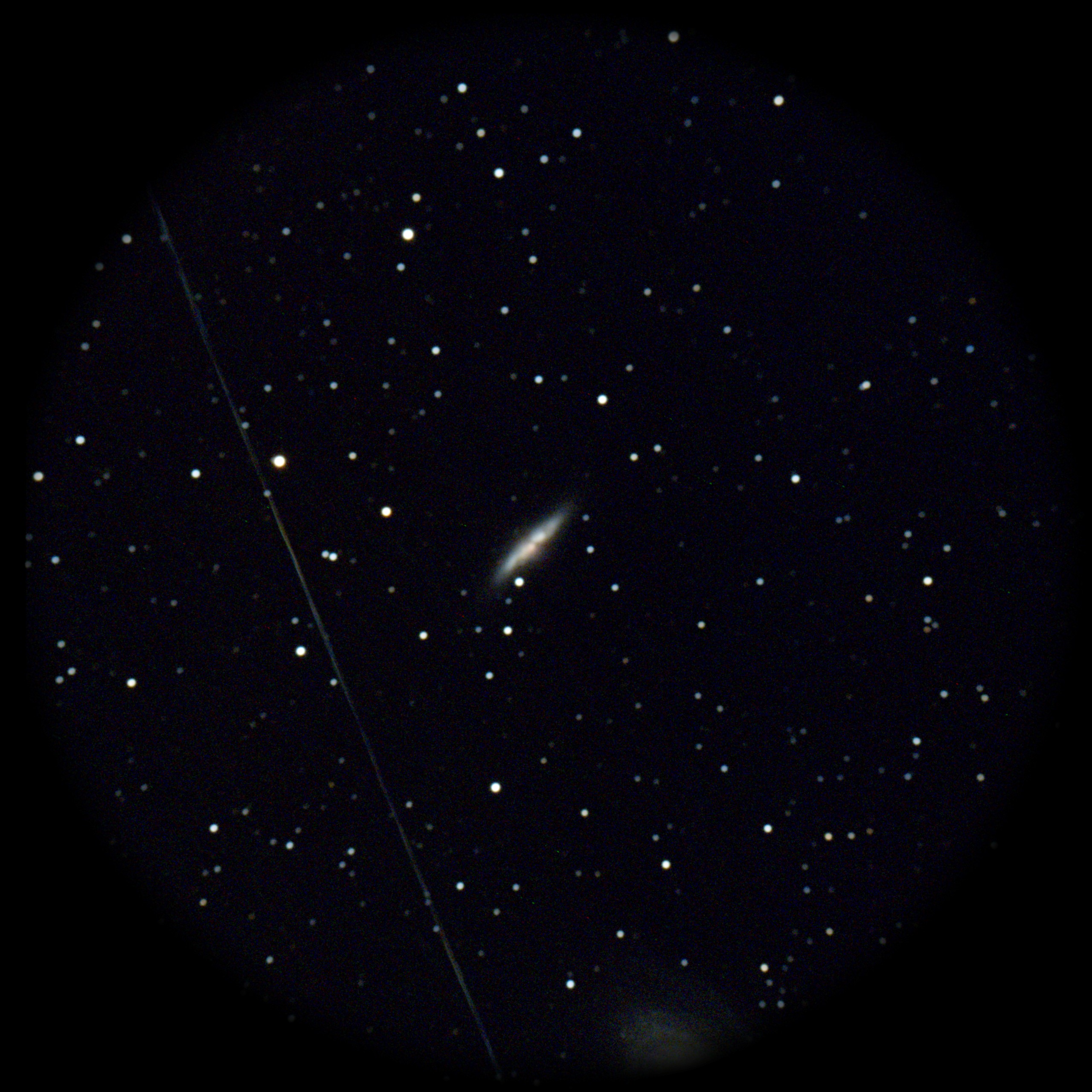 Cigar Galaxy — Irregular Galaxy, captured through our electronic eyepiece