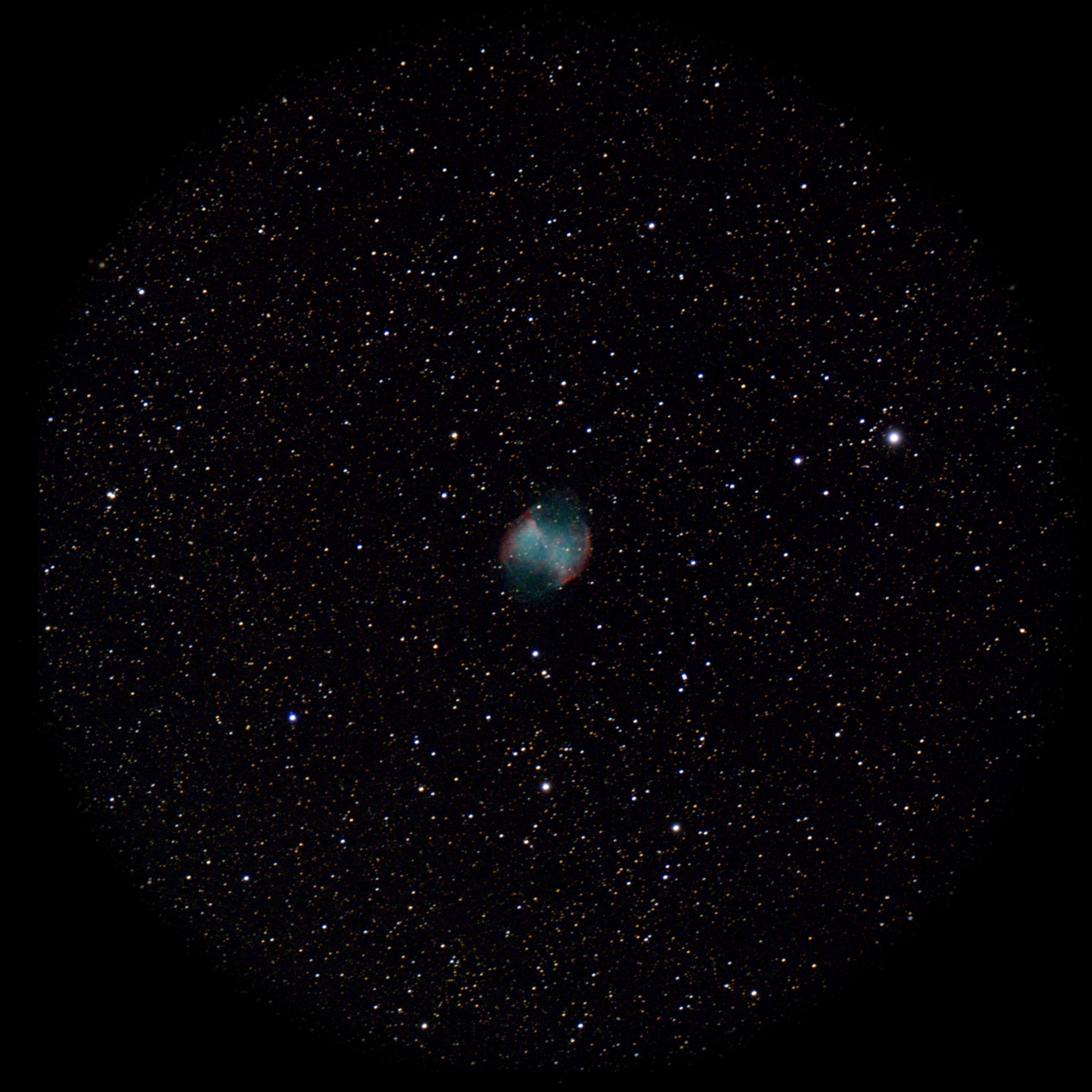 Dumbbell Nebula — Planetary Nebula, captured through our electronic eyepiece