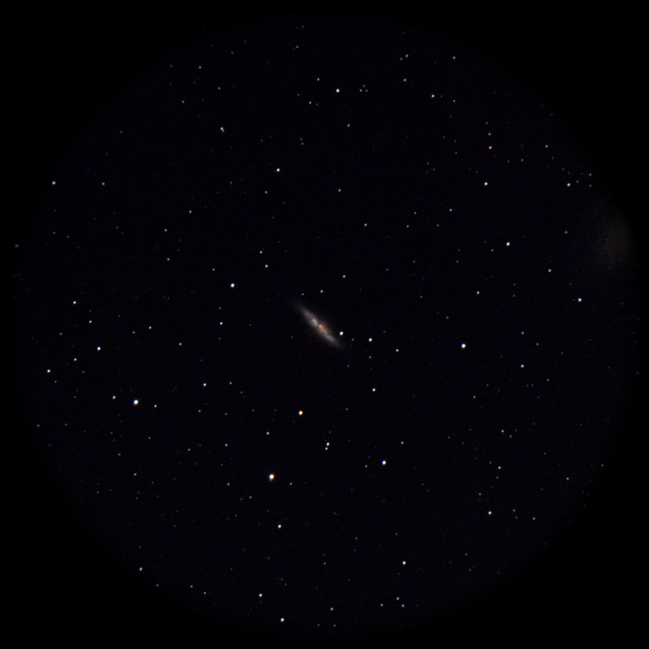 Cigar Galaxy — Irregular Galaxy, captured through our electronic eyepiece