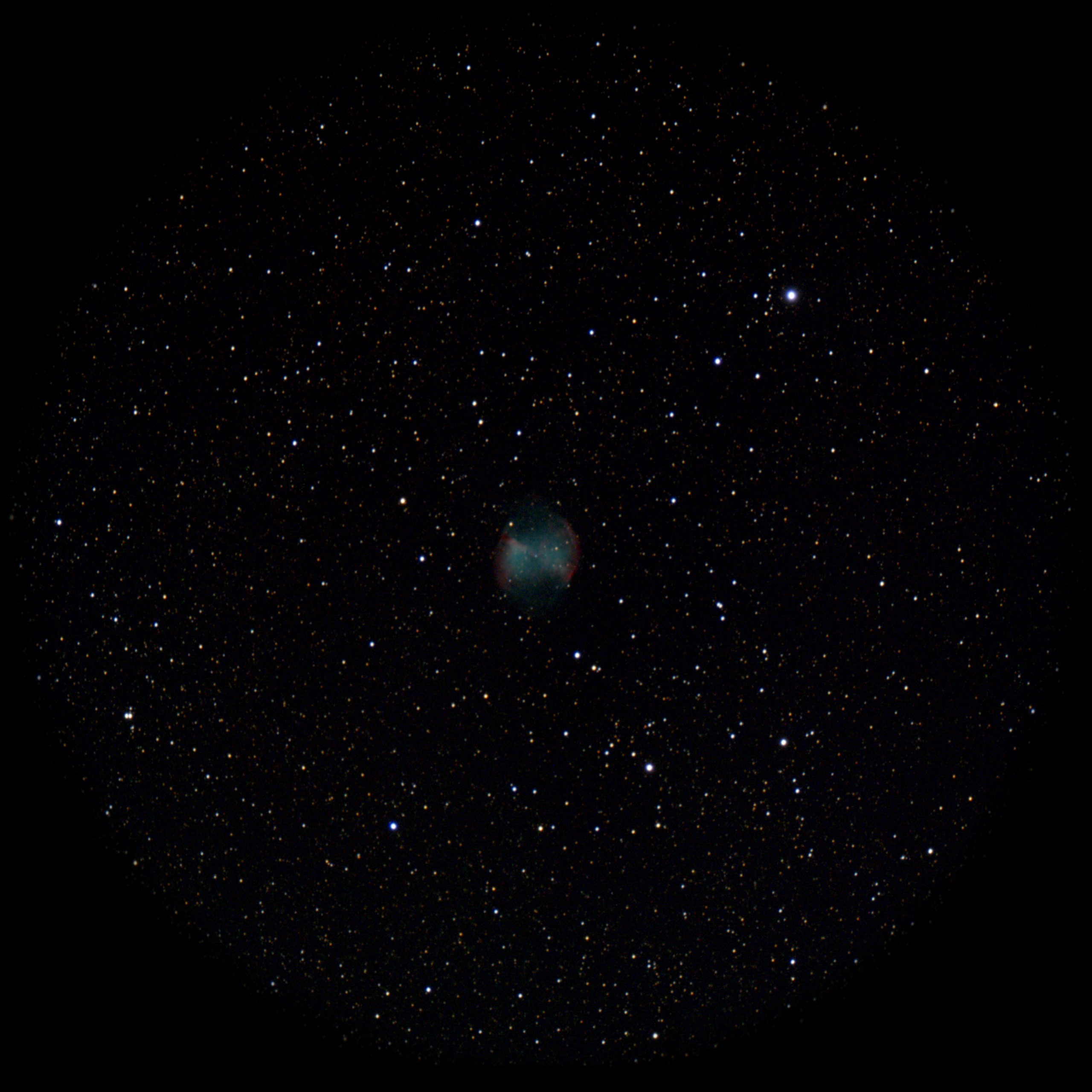 Dumbbell Nebula — Planetary Nebula, captured through our electronic eyepiece