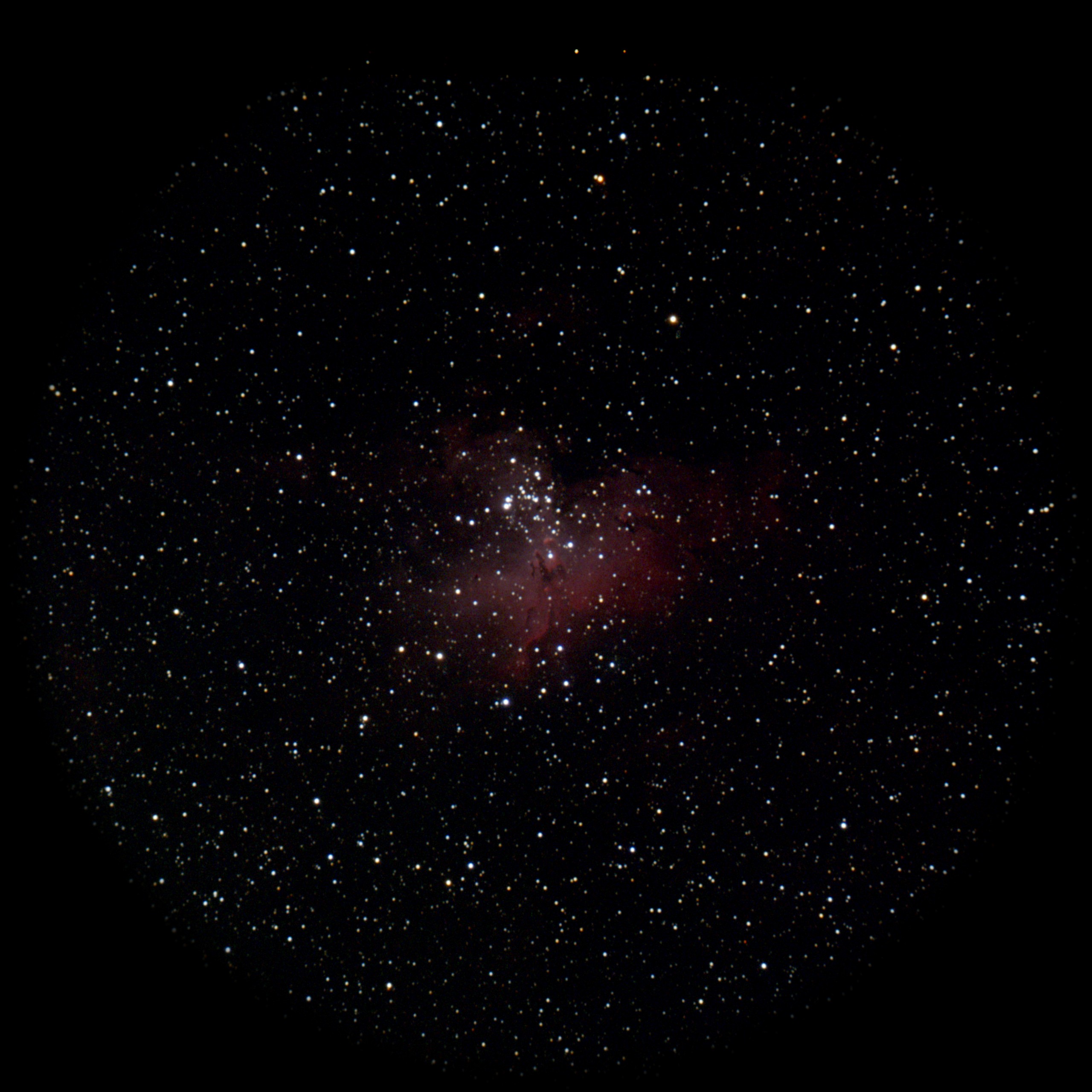 Eagle Nebula — Diffuse Nebula, captured through our electronic eyepiece